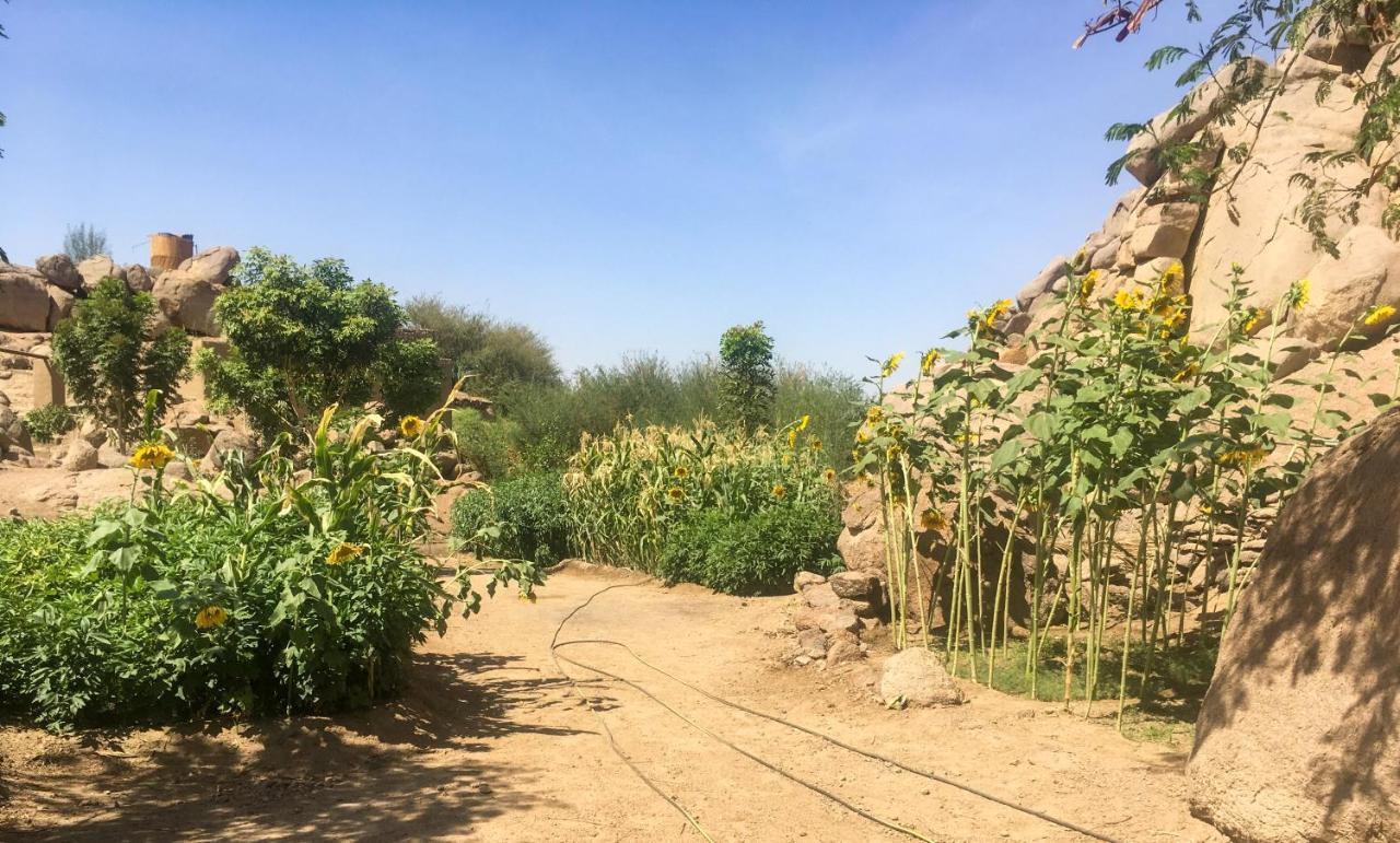 فيلا Eco Nubia أسوان المظهر الخارجي الصورة
