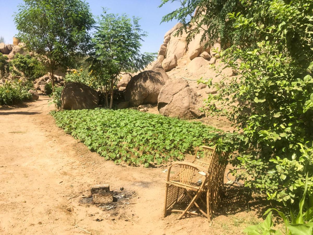 فيلا Eco Nubia أسوان المظهر الخارجي الصورة